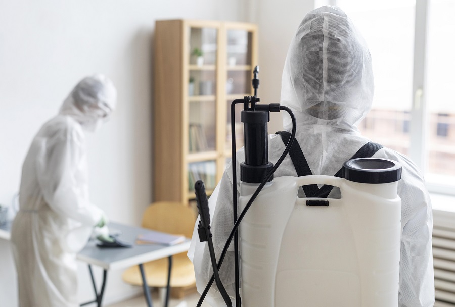 Customer Experiences Highlighted in Hawx Pest Control Reviews